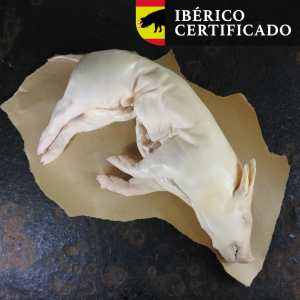 iberico speenbig