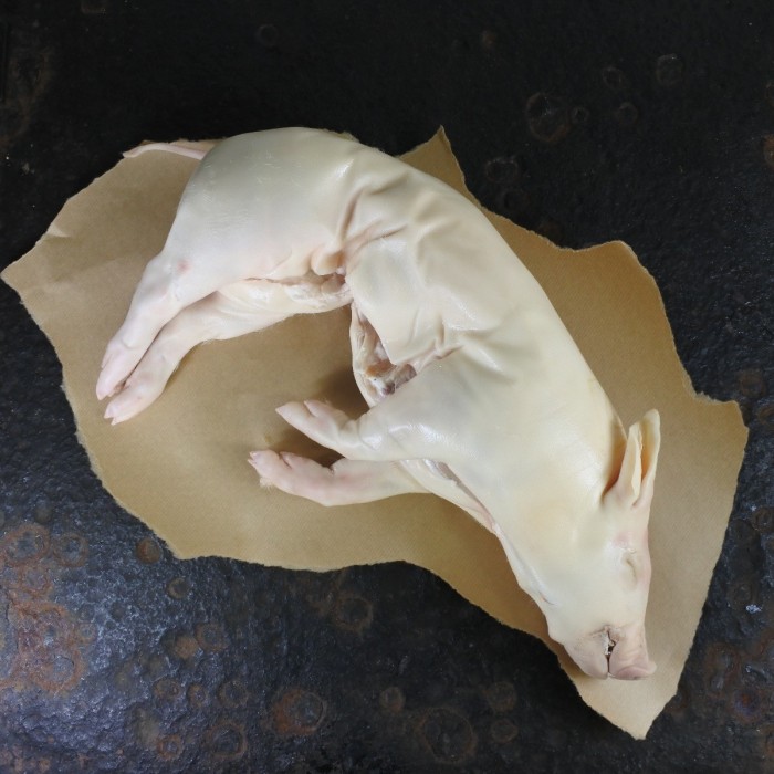 iberico speenbig
