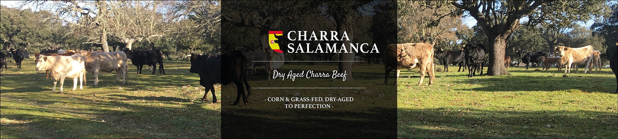 Charra Salamanca ESP