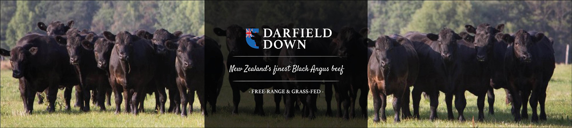 Darfield Down NZL