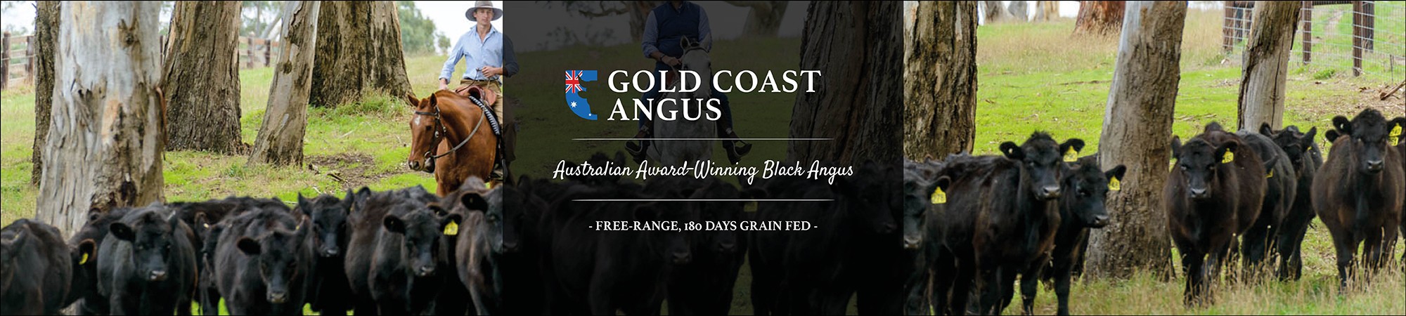 Gold Coast Angus AUS