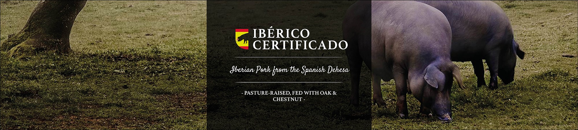 Iberico Certificado ESP 