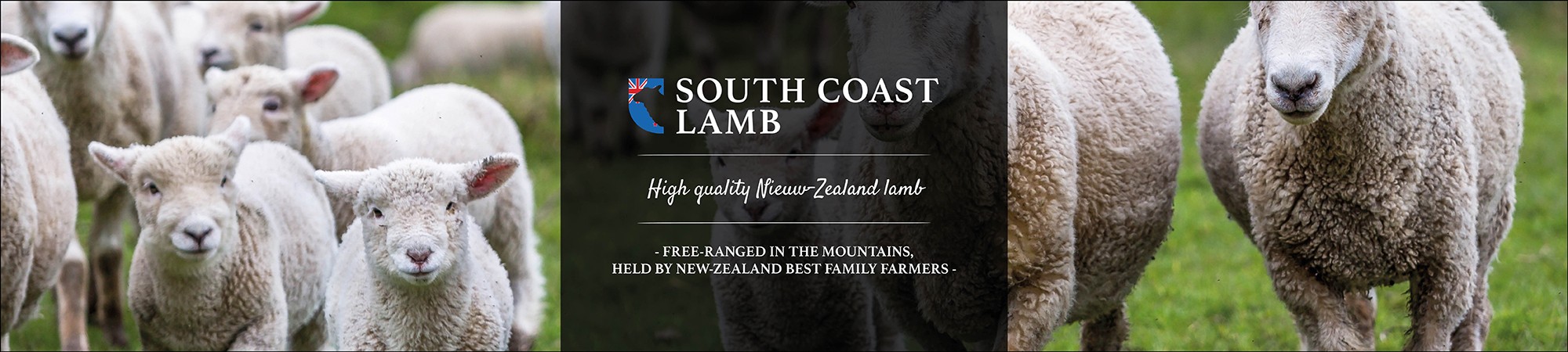 South Coast Lamb NZL