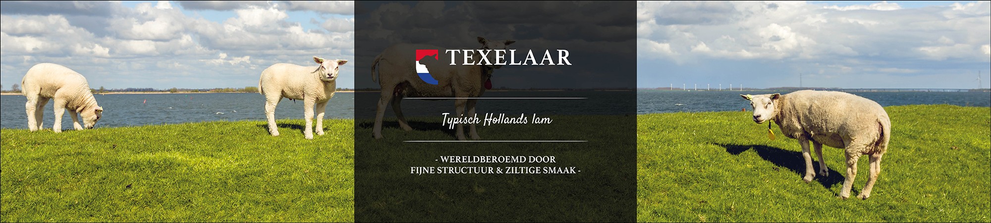 Texelaar NLD