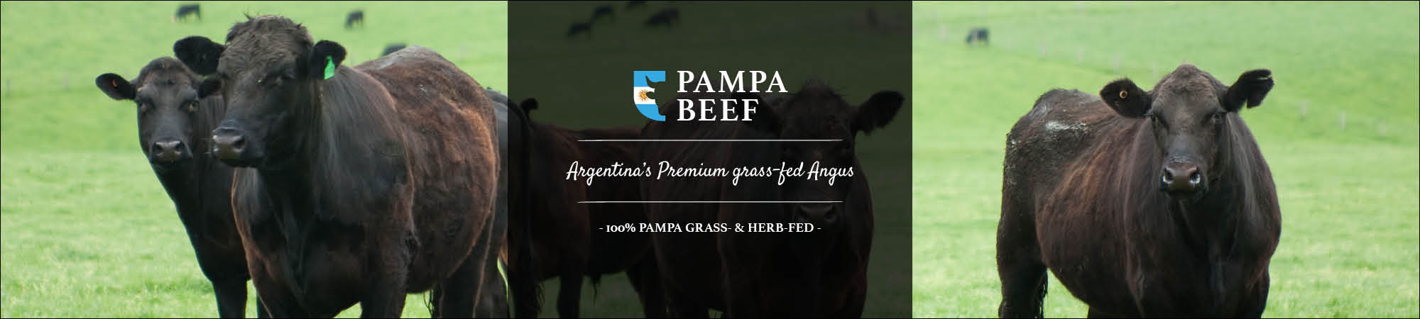 Pampa Beef ARG